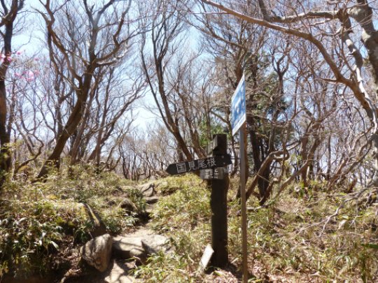 国見尾根分岐